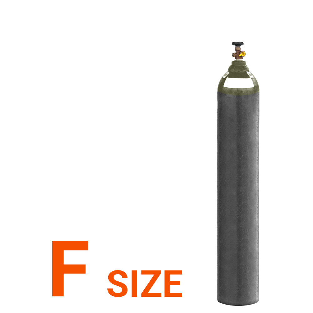 Beer 55 F Size